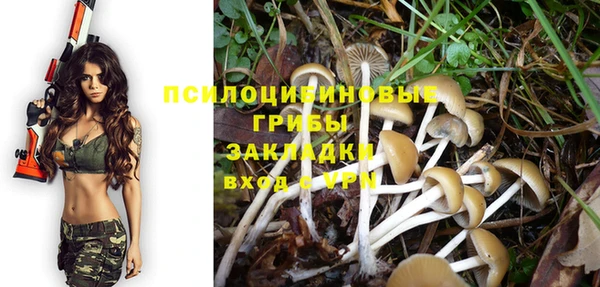 прущие крисы Рославль