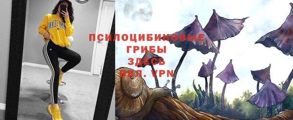 прущие крисы Рославль