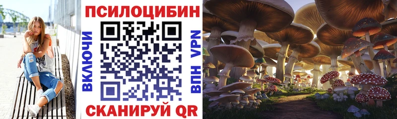 мега зеркало  где купить наркоту  Себеж  Галлюциногенные грибы MAGIC MUSHROOMS 